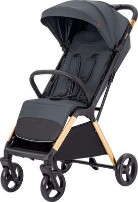 Детская прогулочная коляска Carrello Cross / CRL-5523