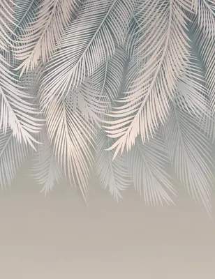 Фотообои листовые Citydecor Пальмовые листья 83