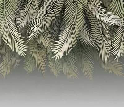 Фотообои листовые Citydecor Пальмовые листья 84