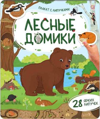 Развивающий плакат