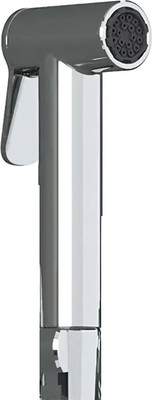 Лейка гигиенического душа Teska BTK6900