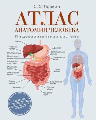 Нехудожественная книга АСТ Атлас анатомии человека. Пищеварительная система