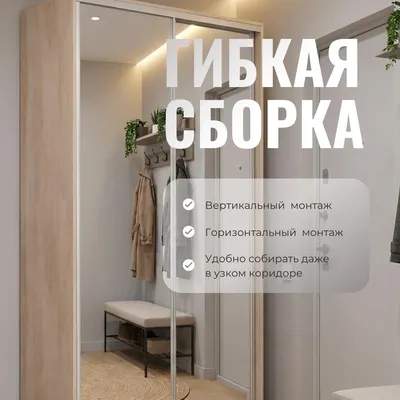 Шкаф-купе Рэйгрупп 176450 EEX Elgon РГ-09.06