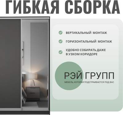 Шкаф-купе Рэйгрупп 176 KKX Elgon РГ-09.06