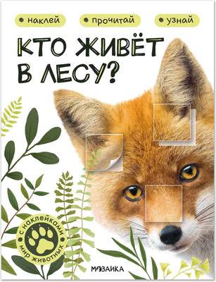 Развивающая книга