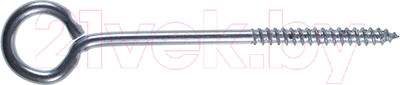 Шуруп Starfix SMP2-66915-20