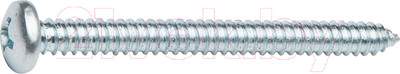 Шуруп Starfix Острый Полусферическая головка 6.3х80 DIN 7981 / SMC3-58340-100