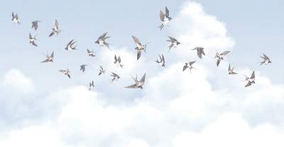 Фотообои листовые Citydecor Air 11