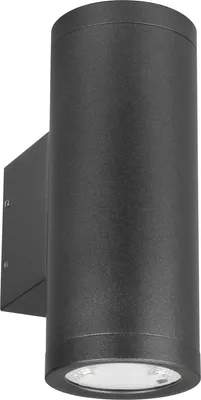 Бра уличное Arlight LGD-RAY-WALL-TWIN-R65-2x9W Warm3000 GR 23 deg 230V / 038154(1)