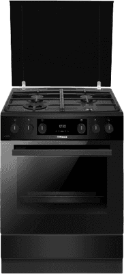 Плита газоэлектрическая Hansa FCMM69329