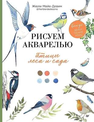 Книга Питер Рисуем акварелью: птицы леса и сада