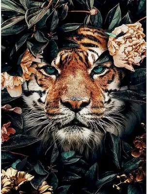 Картина по номерам Sundays Art JH048