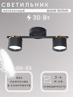 Потолочный светильник Aitin-Pro F60309/2