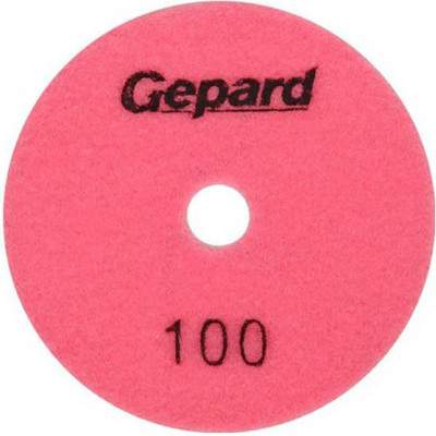 Шлифовальный круг Gepard GP5022-100