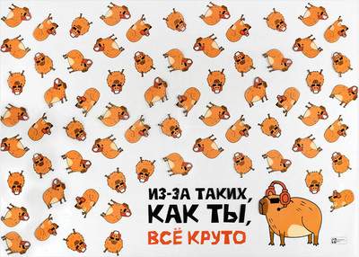Бювар Krutaya Kapibara