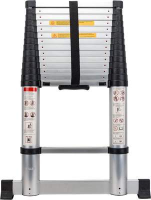 Телескопическая лестница Gigant LT-01 1x15