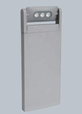 Светильник уличный Oasis Light W6146S-1-526 S