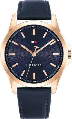 Часы наручные мужские Tommy Hilfiger 1792189