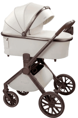 Детская универсальная коляска Amarobaby 2в1 Motus Premium Ecco Exclusive / AB26-10MOTUSF/33