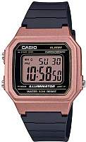 Часы наручные мужские Casio Collection W-217HM-5AVEF