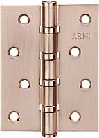 Петли дверные Arni 100x75 CP
