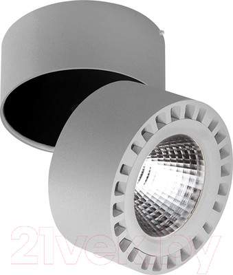 Настенные светильники, споты, бра Lightstar Forte 381394