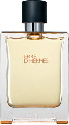 Туалетная вода Hermes Terre D`hermes for Men