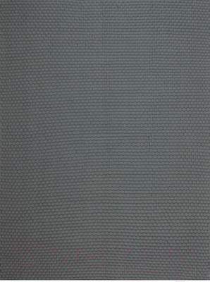 Ковры, циновки, шкуры Indo Rugs Uni 100