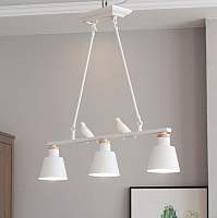 Люстры, потолочные светильники Home Light Астерия A070-2