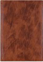 Ежедневник Darvish DV-11601