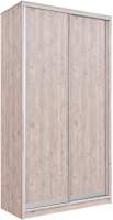 Шкаф-купе Рэйгрупп 158450 SSX Elgon РГ-04.03