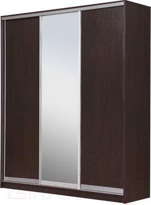Шкаф-купе Рэйгрупп 176450 VVX Elgon РГ-03.02