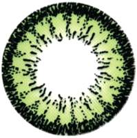 Комплект контактных линз Hera Dream Green Sph-0.00