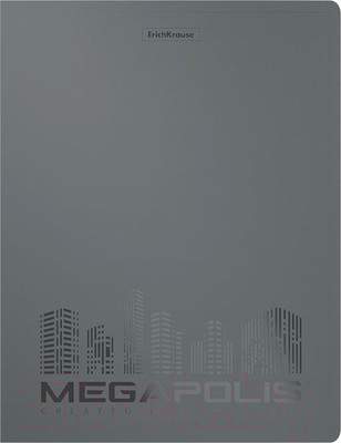 Папка-регистратор Erich Krause Megapolis / 49984