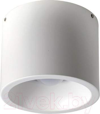 Точечный светильник FAVOURITE Reflector 1993-1C