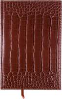 Ежедневник Darvish DV-12843