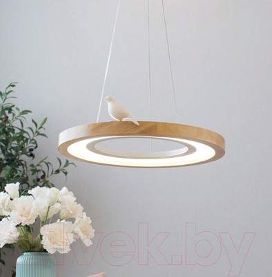 Потолочный светильник Home Light Астерия D259-3
