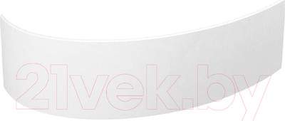 Экран для ванны Alba Spa Katrina 170x110 L