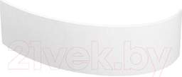 Экран для ванны Alba Spa Katrina 170x110 R