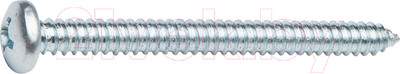 Шуруп Starfix SMC3-50305-250