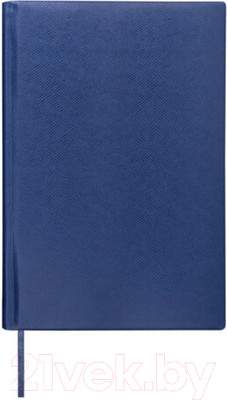 Ежедневники, блокноты, записные книжки Brauberg Iguana / 125091