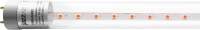 Светильник для растений JAZZway Pled T8 600 Agro 8w CL G13