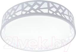 Потолочный светильник Toplight Leone TL1205X-72WH