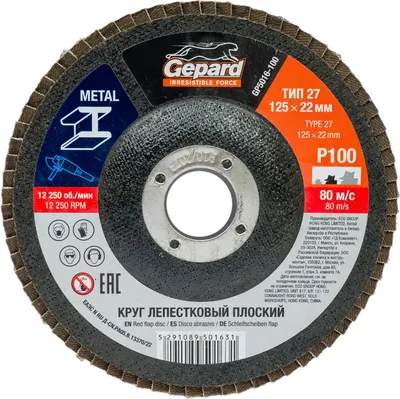 Шлифовальный круг Gepard GP5016-100