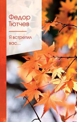 Художественная книга Эксмо Я встретил вас…