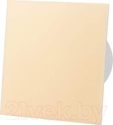 Вентилятор накладной AirRoxy dRim 100RMS-C165