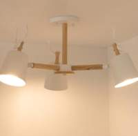 Люстры, потолочные светильники Home Light Астерия A077-1