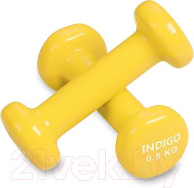 Набор гантелей Indigo Sport 92005