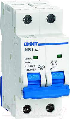 Выключатель автоматический Chint NB1-63 2P 4A 6kА B (DB) / 179650
