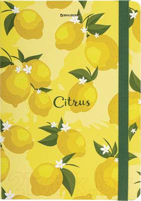 Записная книжка Brauberg Lemons / 113727